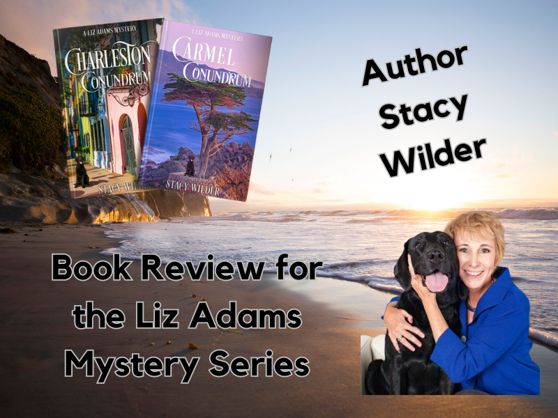 Book Review for Liz Adams Mystery Series